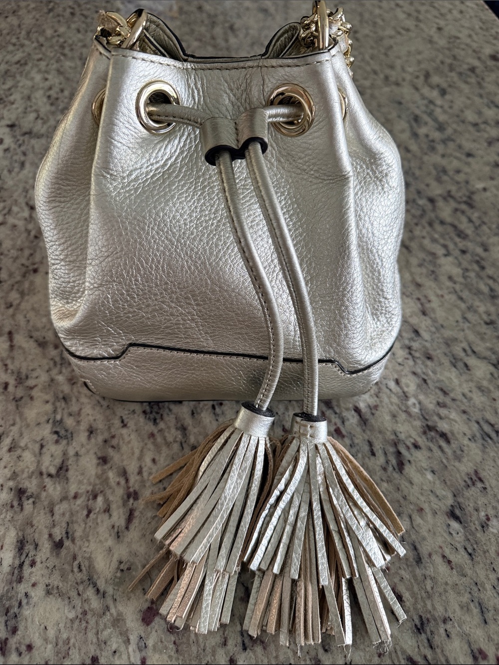 Rebecca Minkoff Metallic Tassel Drawstring Bucket Bag